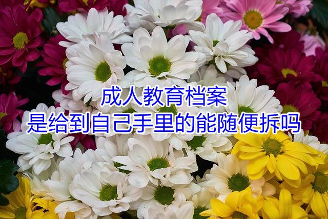 成人教育档案是给到自己手里的能随便拆吗