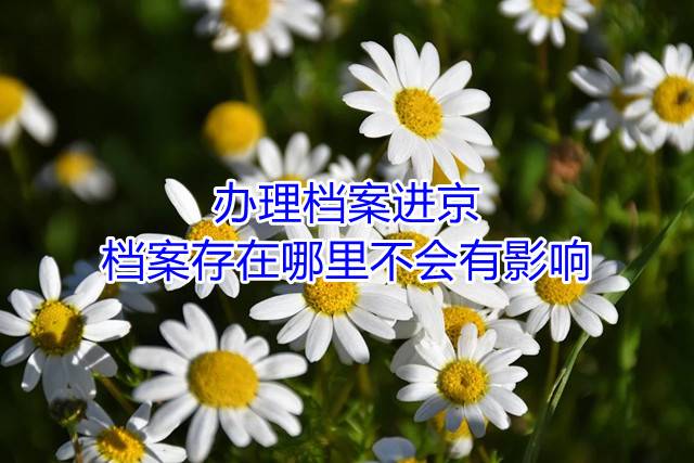 办理档案进京，档案存在哪里不会有影响
