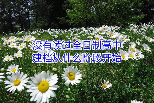 没有读过全日制高中,建档从什么阶段开始