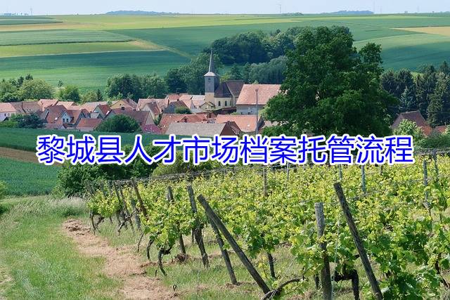 黎城县人才市场档案托管流程