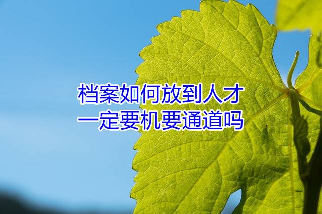 档案如何放到人才，一定要机要通道吗