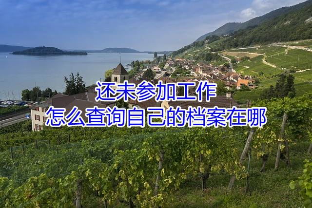 还未参加工作，怎么查询自己的档案在哪
