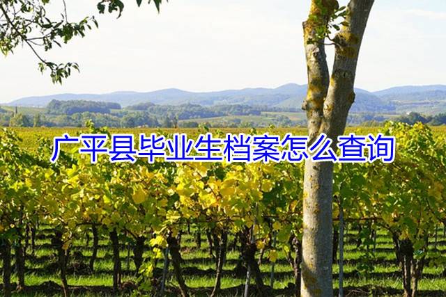 广平县毕业生档案怎么查询