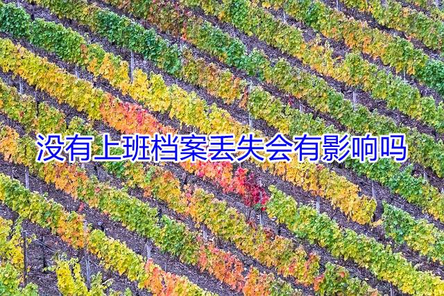 没有上班档案丢失会有影响吗