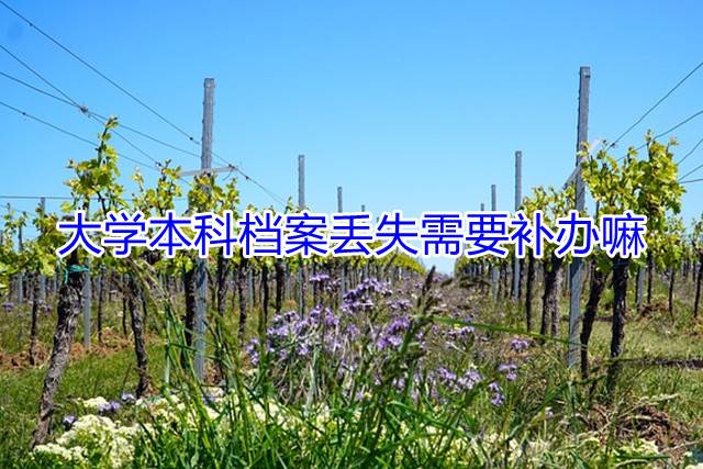 大学本科档案丢失需要补办嘛