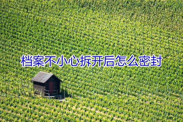 档案不小心拆开后怎么密封