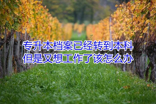 专升本档案已经转到本科,但是又想工作了该怎么办