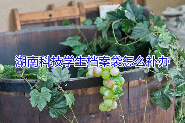 湖南科技学生档案袋怎么补办