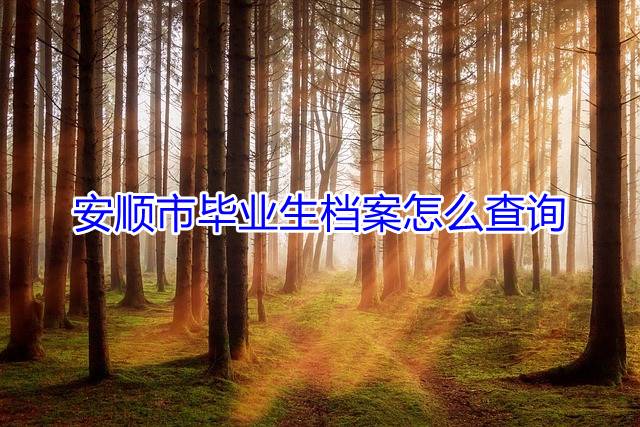 安顺市毕业生档案怎么查询
