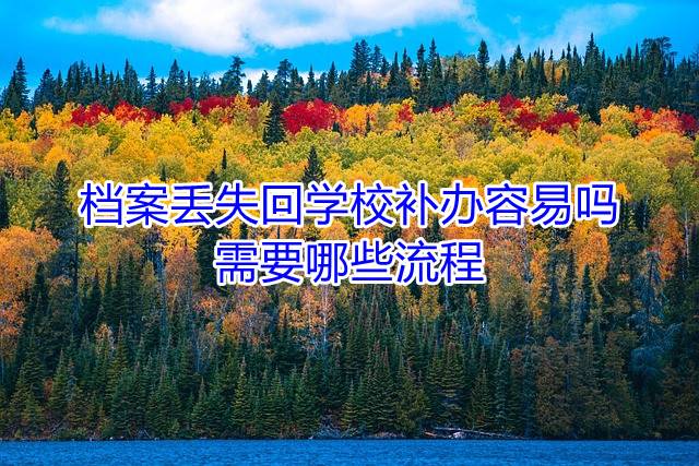 档案丢失回学校补办容易吗，需要哪些流程