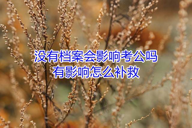没有档案会影响考公吗，有影响怎么补救