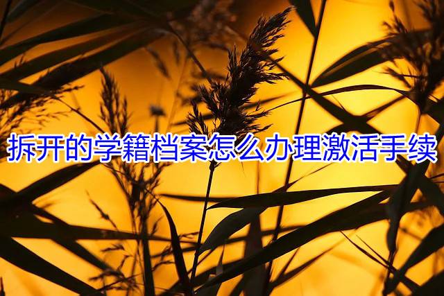 拆开的学籍档案怎么办理激活手续