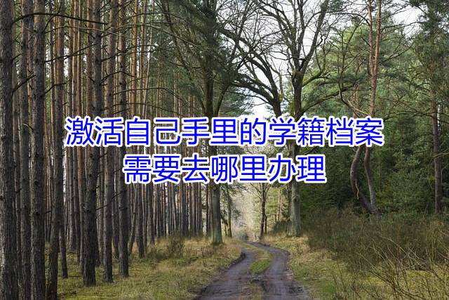 激活自己手里的学籍档案需要去哪里办理