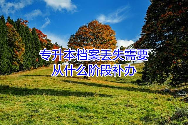 专升本档案丢失需要从什么阶段补办