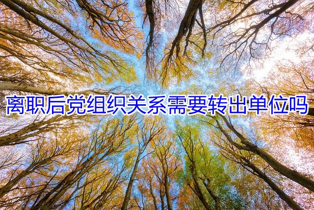 离职后党组织关系需要转出单位吗