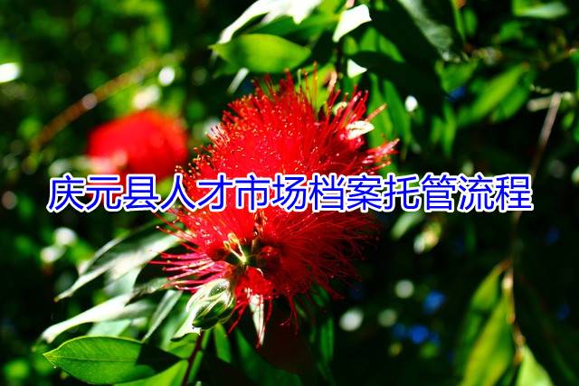 庆元县人才市场档案托管流程