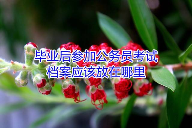 毕业后参加公务员考试档案应该放在哪里