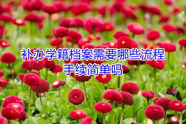 补办学籍档案需要哪些流程，手续简单吗