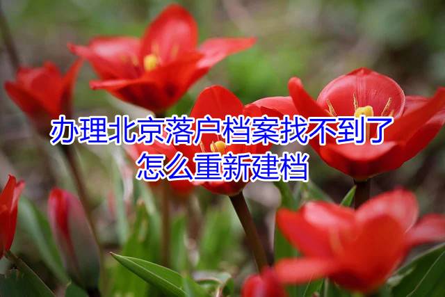 办理北京落户档案找不到了怎么重新建档