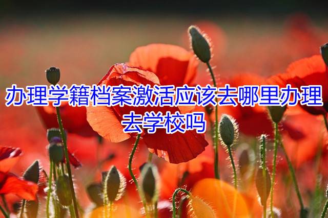 办理学籍档案激活应该去哪里办理，去学校吗