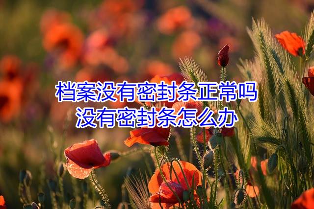 档案没有密封条正常吗，没有密封条怎么办