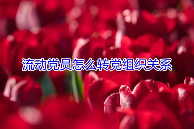 流动党员怎么转党组织关系