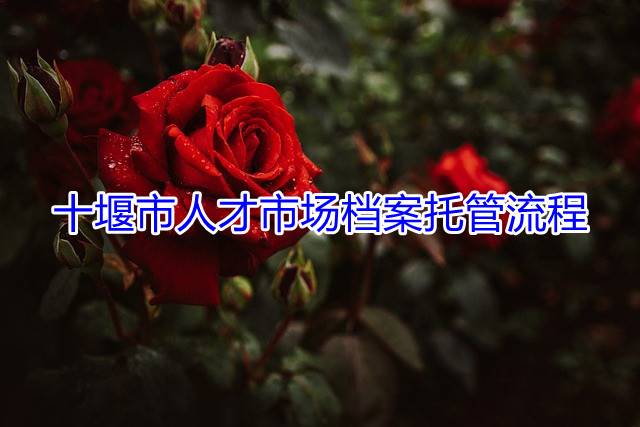 十堰市人才市场档案托管流程