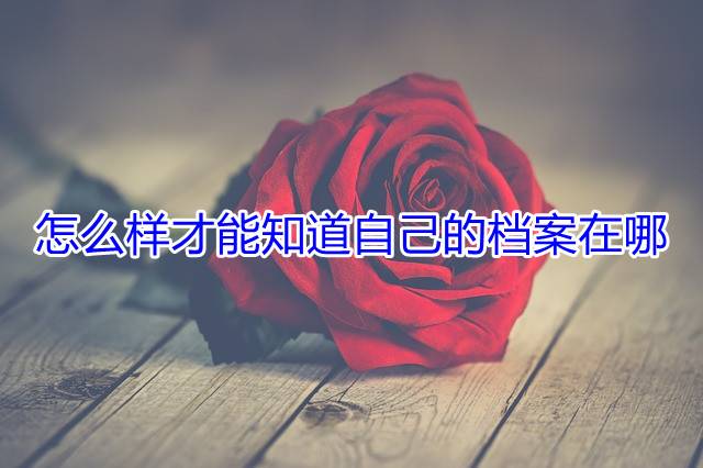 怎么样才能知道自己的档案在哪