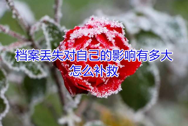 档案丢失对自己的影响有多大，怎么补救