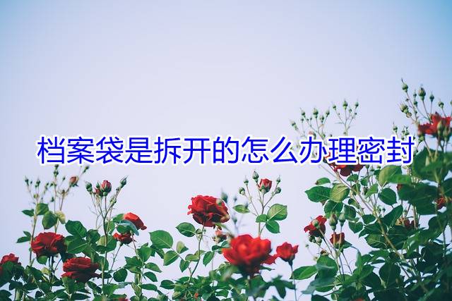 档案袋是拆开的怎么办理密封