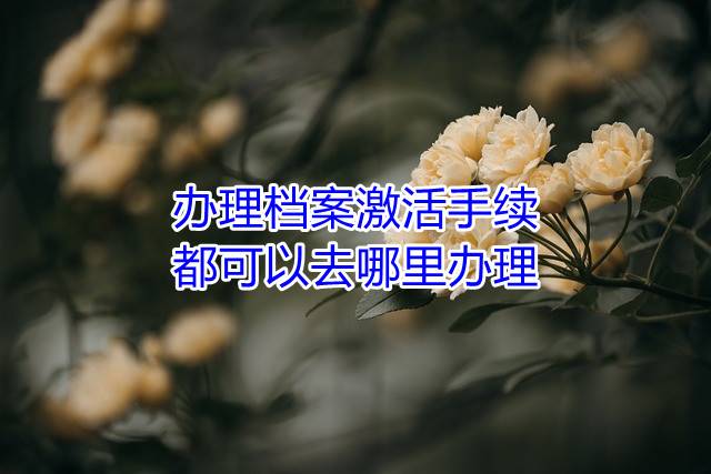 办理档案激活手续都可以去哪里办理