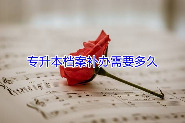 专升本档案补办需要多久