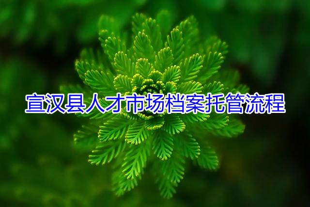 宣汉县人才市场档案托管流程