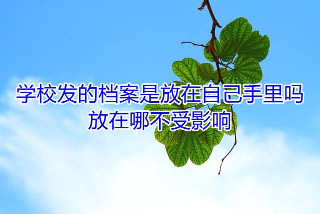 学校发的档案是放在自己手里吗，放在哪不受影响