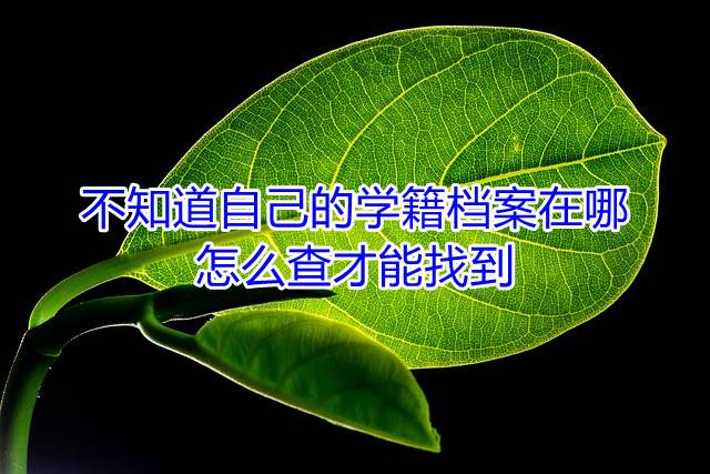 不知道自己的学籍档案在哪，怎么查才能找到