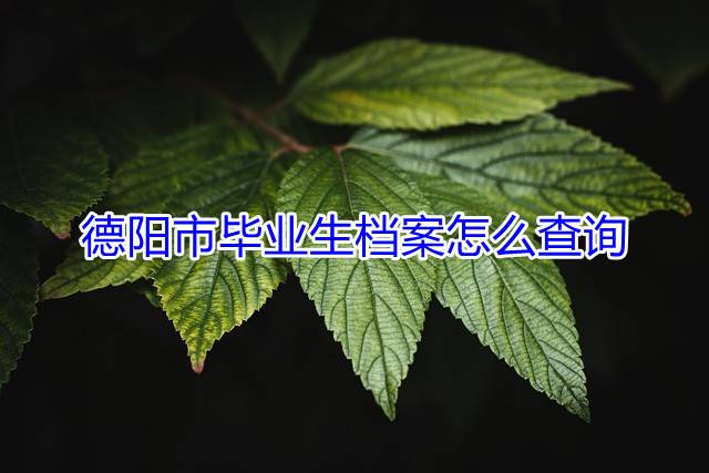 德阳市毕业生档案怎么查询