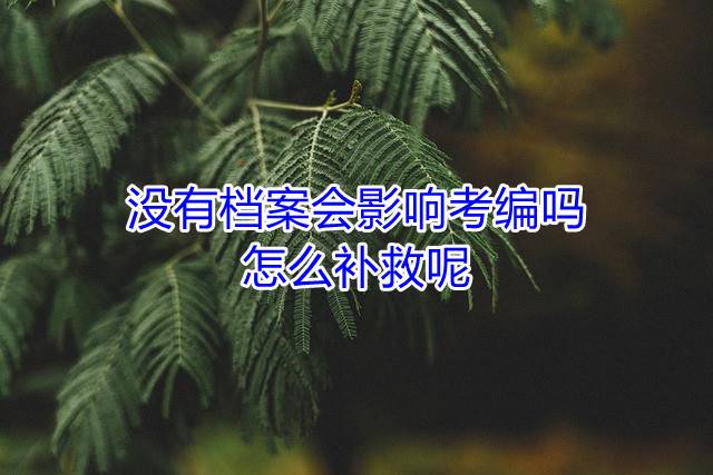 没有档案会影响考编吗，怎么补救呢