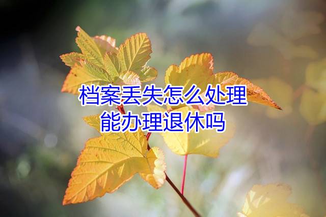 档案丢失怎么处理，能办理退休吗