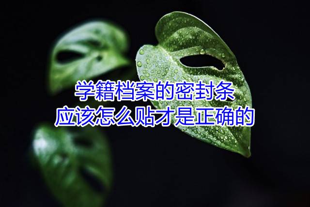 学籍档案的密封条应该怎么贴才是正确的