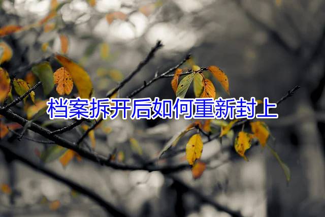档案拆开后如何重新封上