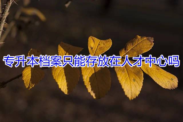 专升本档案只能存放在人才中心吗