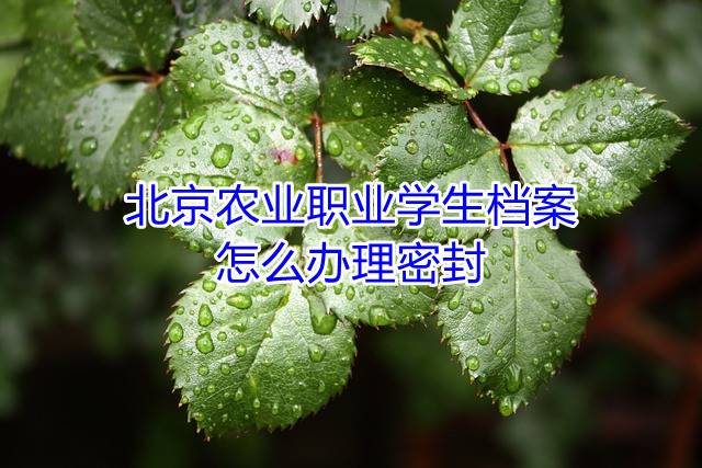 北京农业职业学生档案怎么办理密封