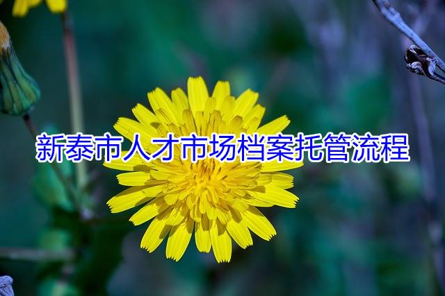 新泰市人才市场档案托管流程