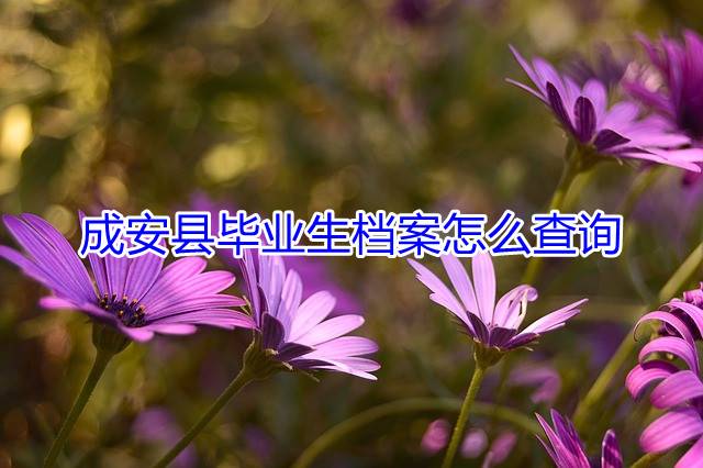 成安县毕业生档案怎么查询