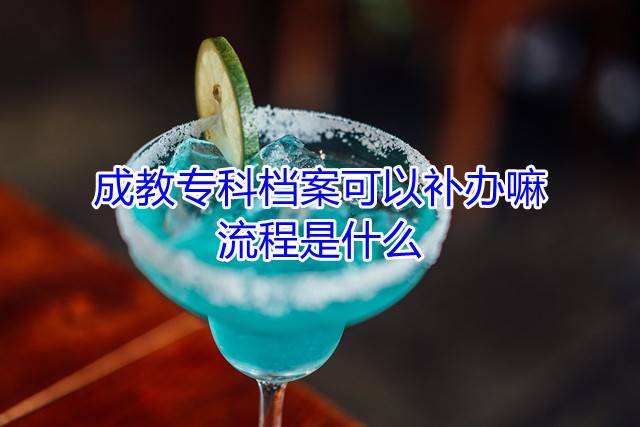 成教专科档案可以补办嘛，流程是什么