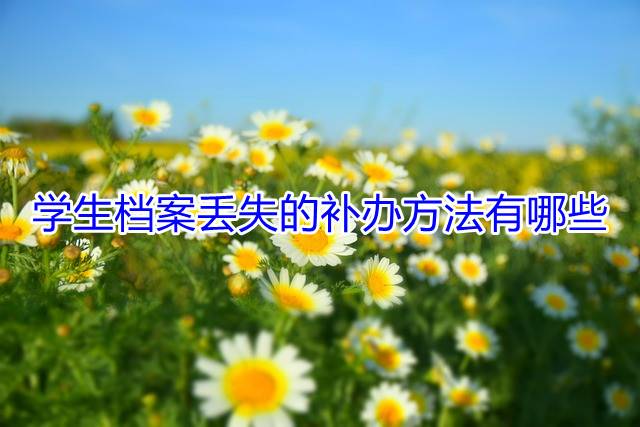 学生档案丢失的补办方法有哪些