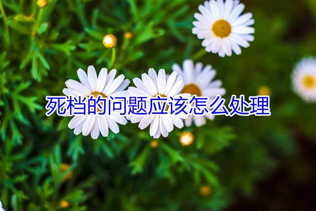 死档的问题应该怎么处理