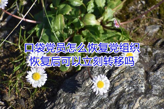 口袋党员怎么恢复党组织，恢复后可以立刻转移吗