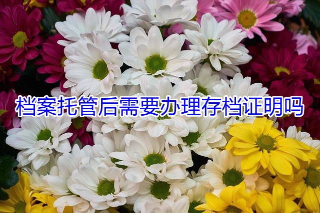 档案托管后需要办理存档证明吗