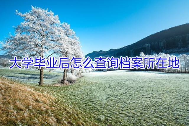 大学毕业后怎么查询档案所在地